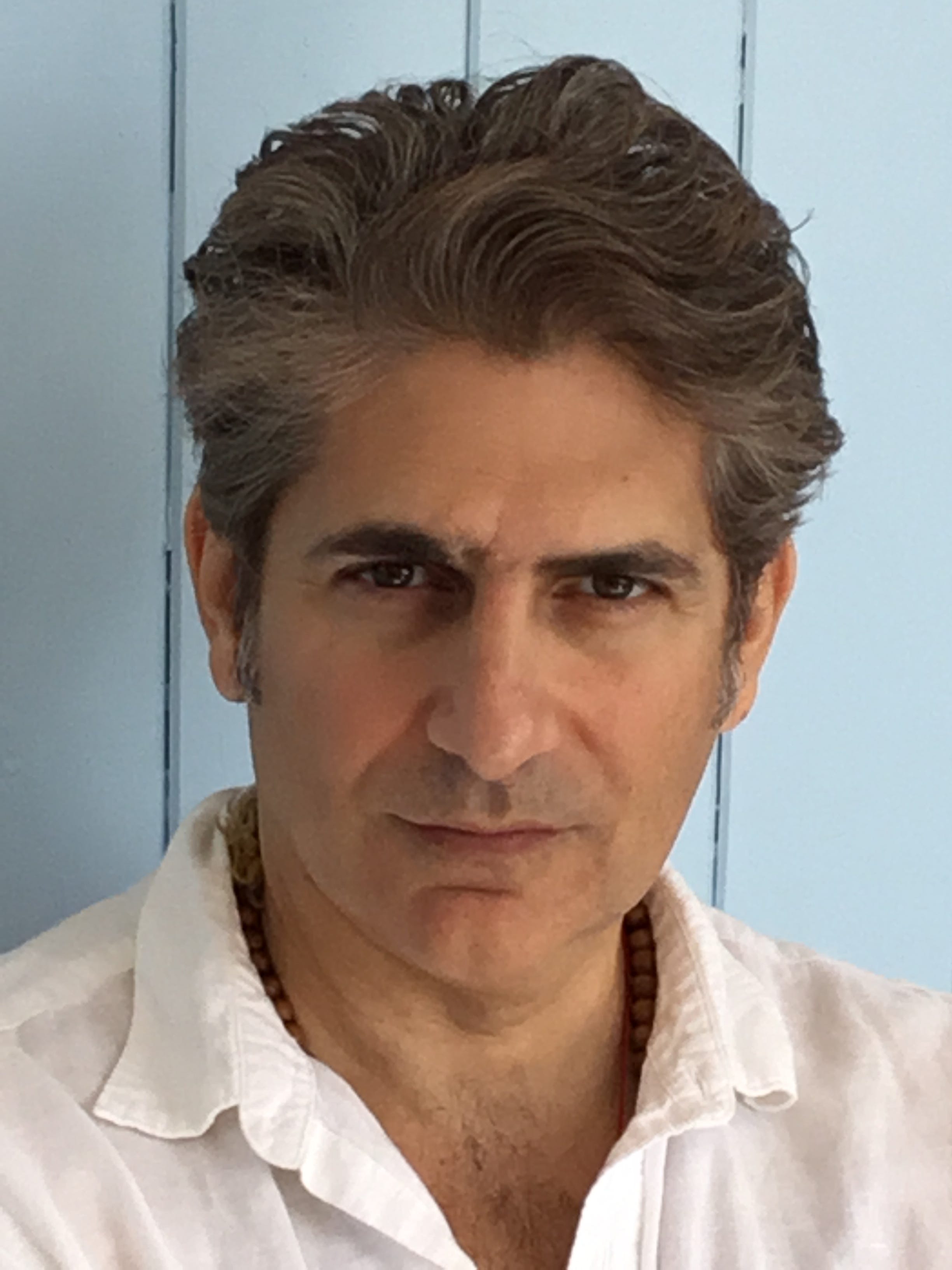 Michael on sale imperioli book