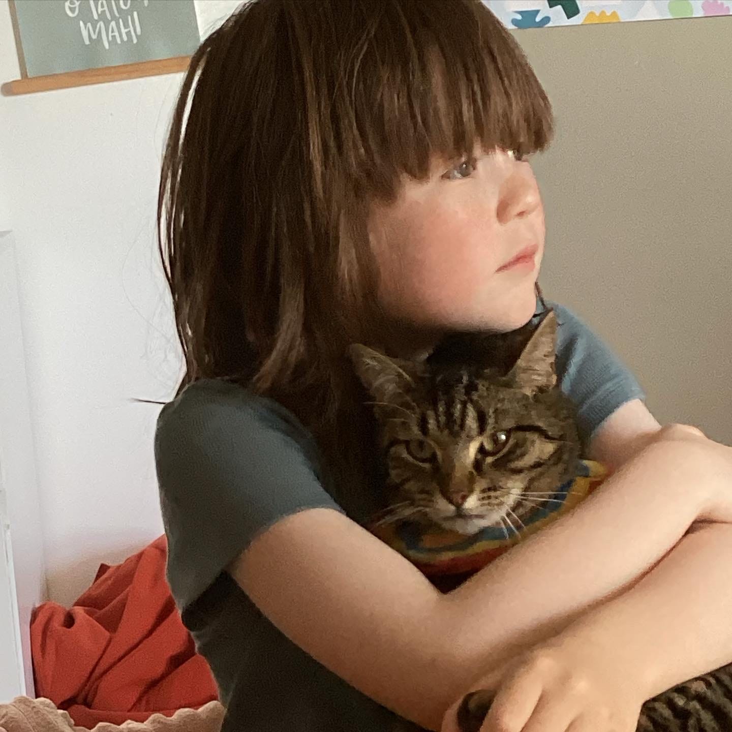 Does my cat really love me Emily Writes Weekly