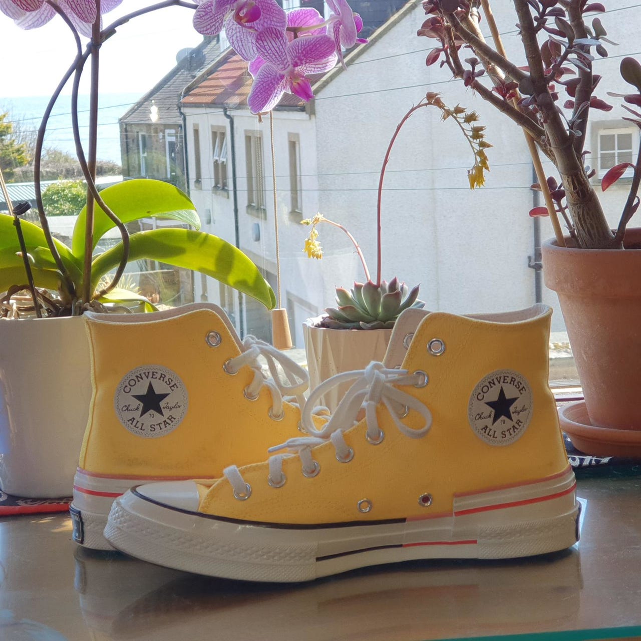 Amazon yellow converse discount