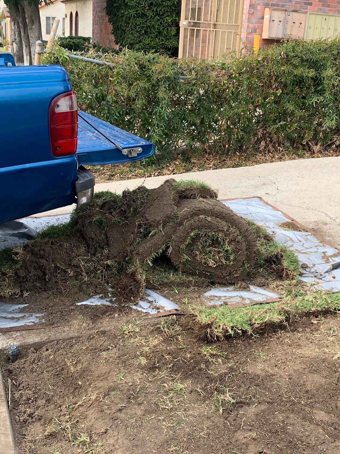 How to compost sod by cass marketos The Rot