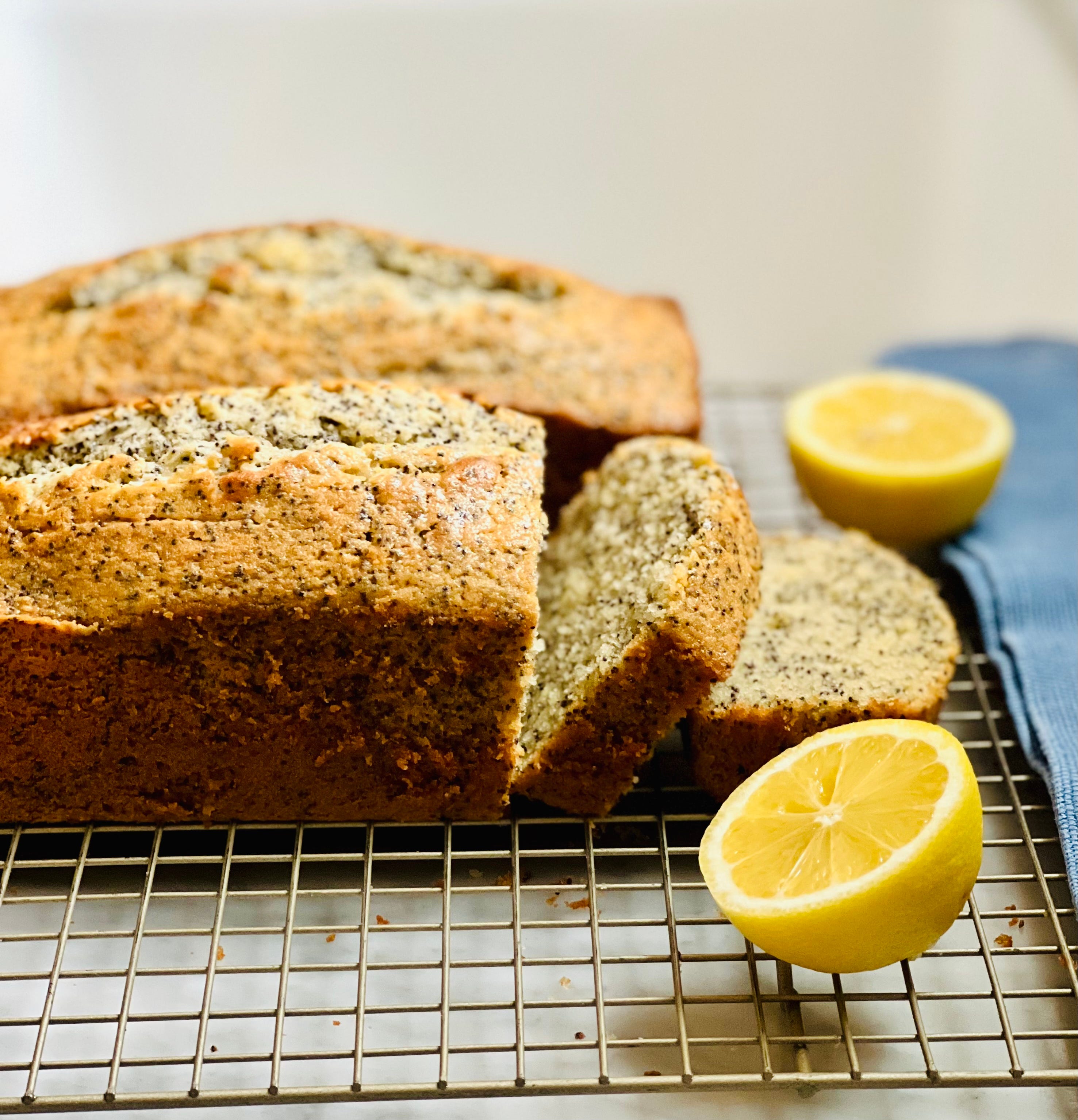 Seeing Memories & Migration in Ukrainian Poppy Seed Cake No. 94