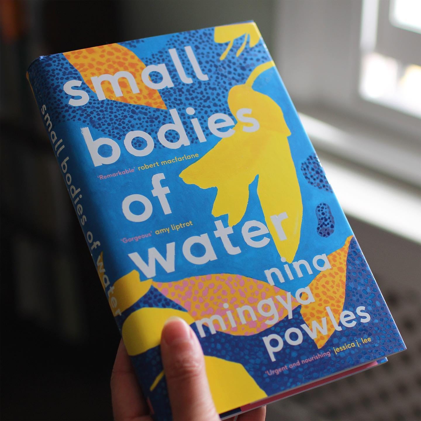 nobody, not even the rain, has such small hands