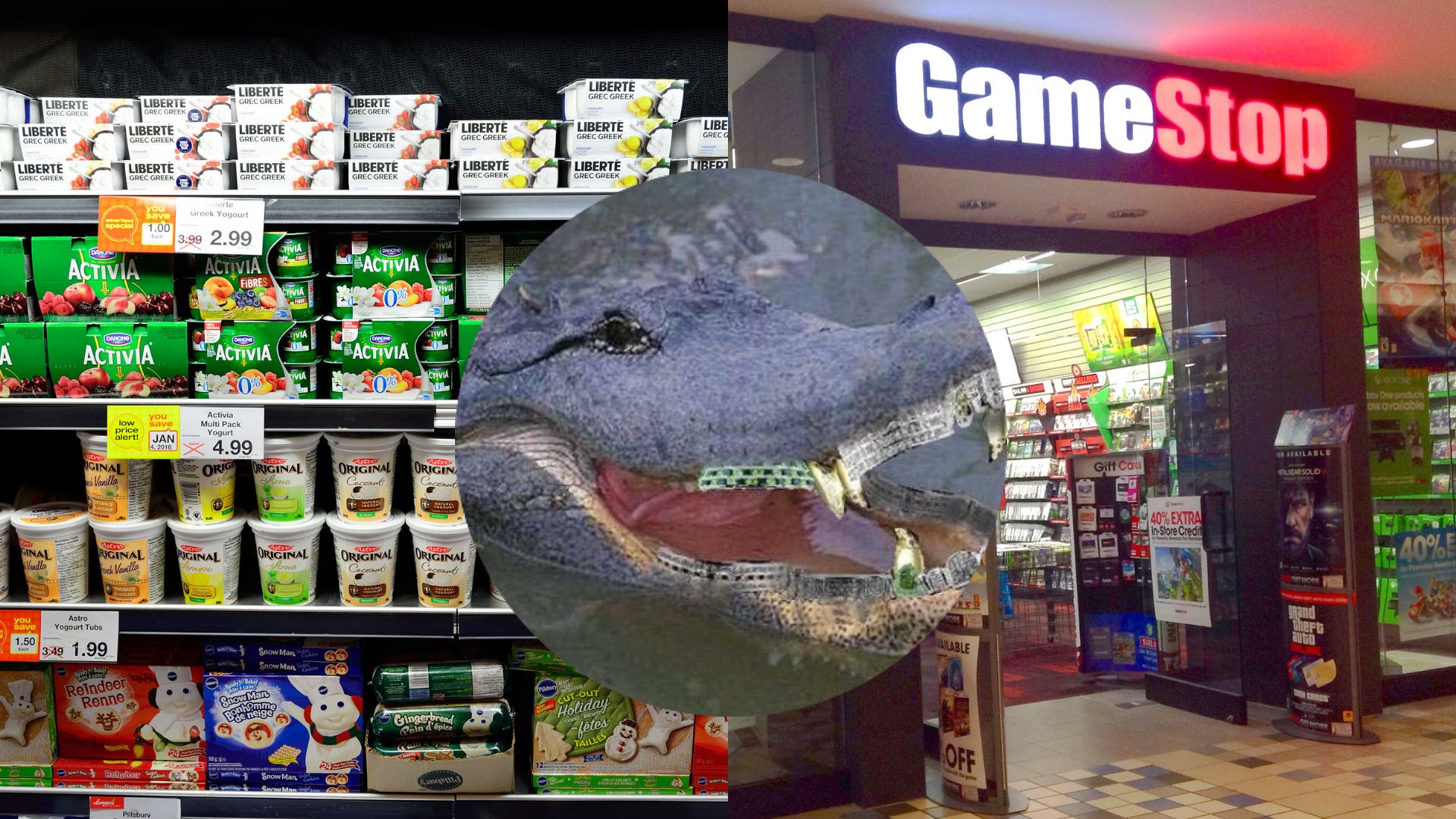 Nolans hotsell fish store