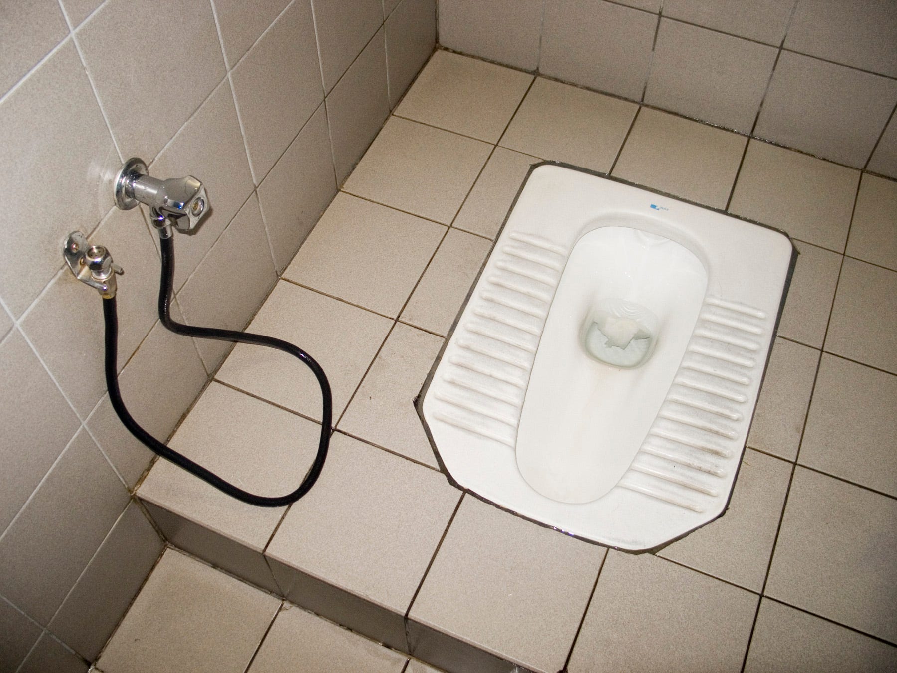 The Truth About Foreign Toilets The Only Thing You Have to Fear is