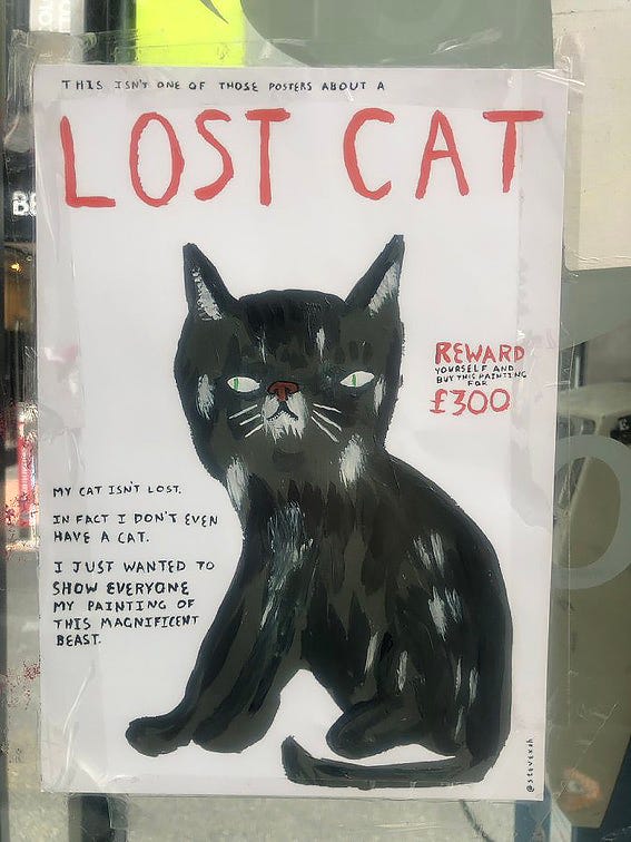 Lost cat best sale signs