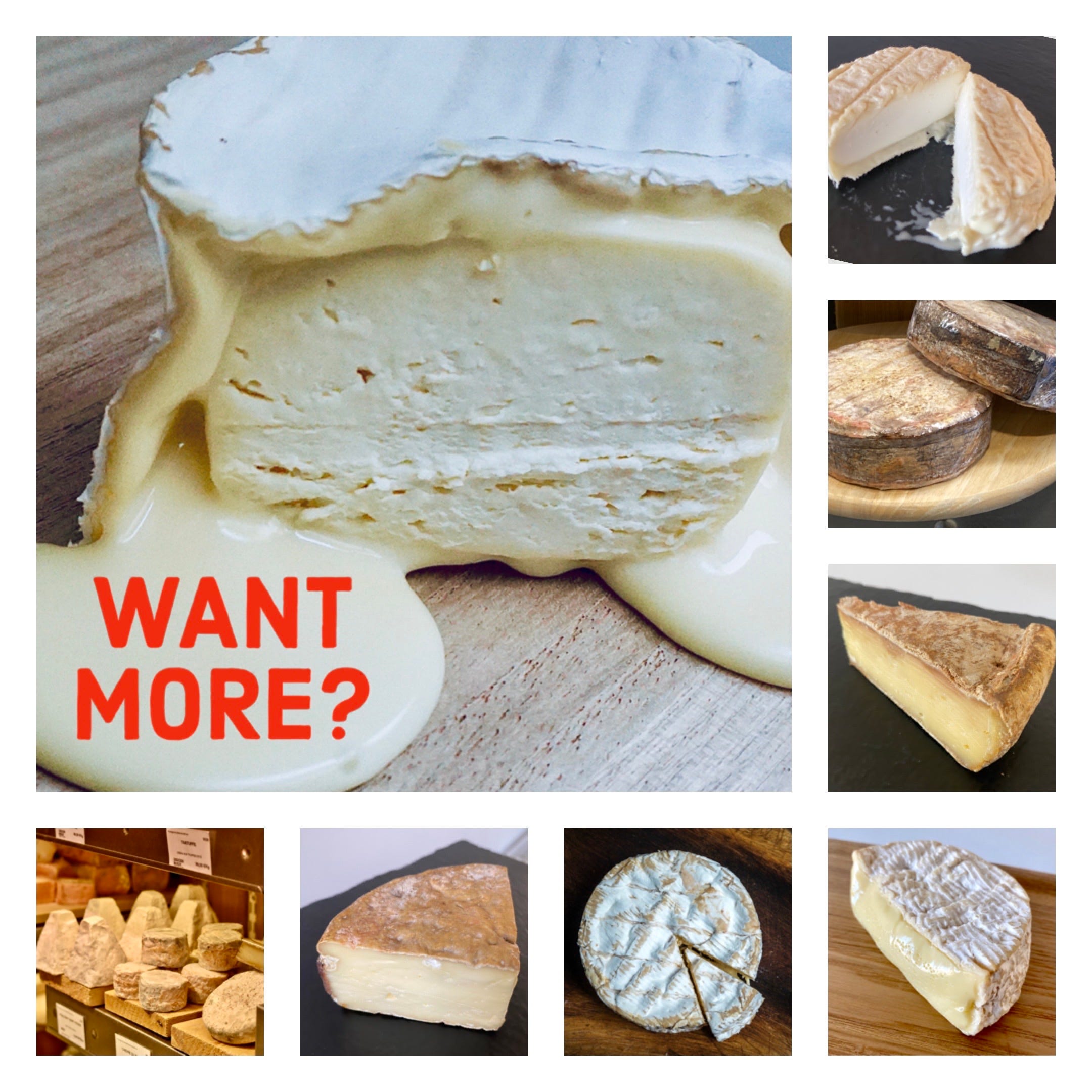 Ten life-changing lessons about brie - by Meg Zimbeck