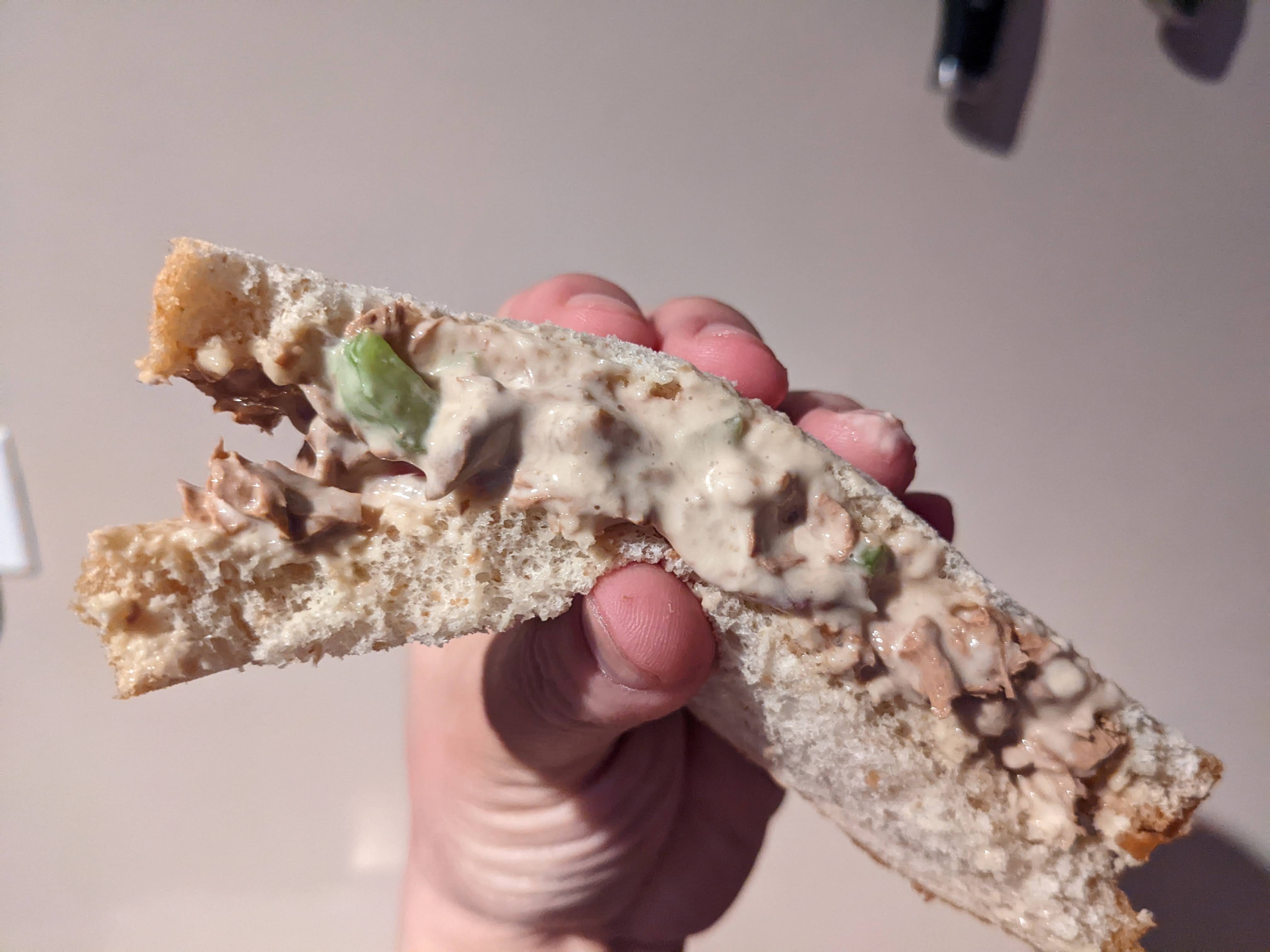 Can cats eat top tuna salad