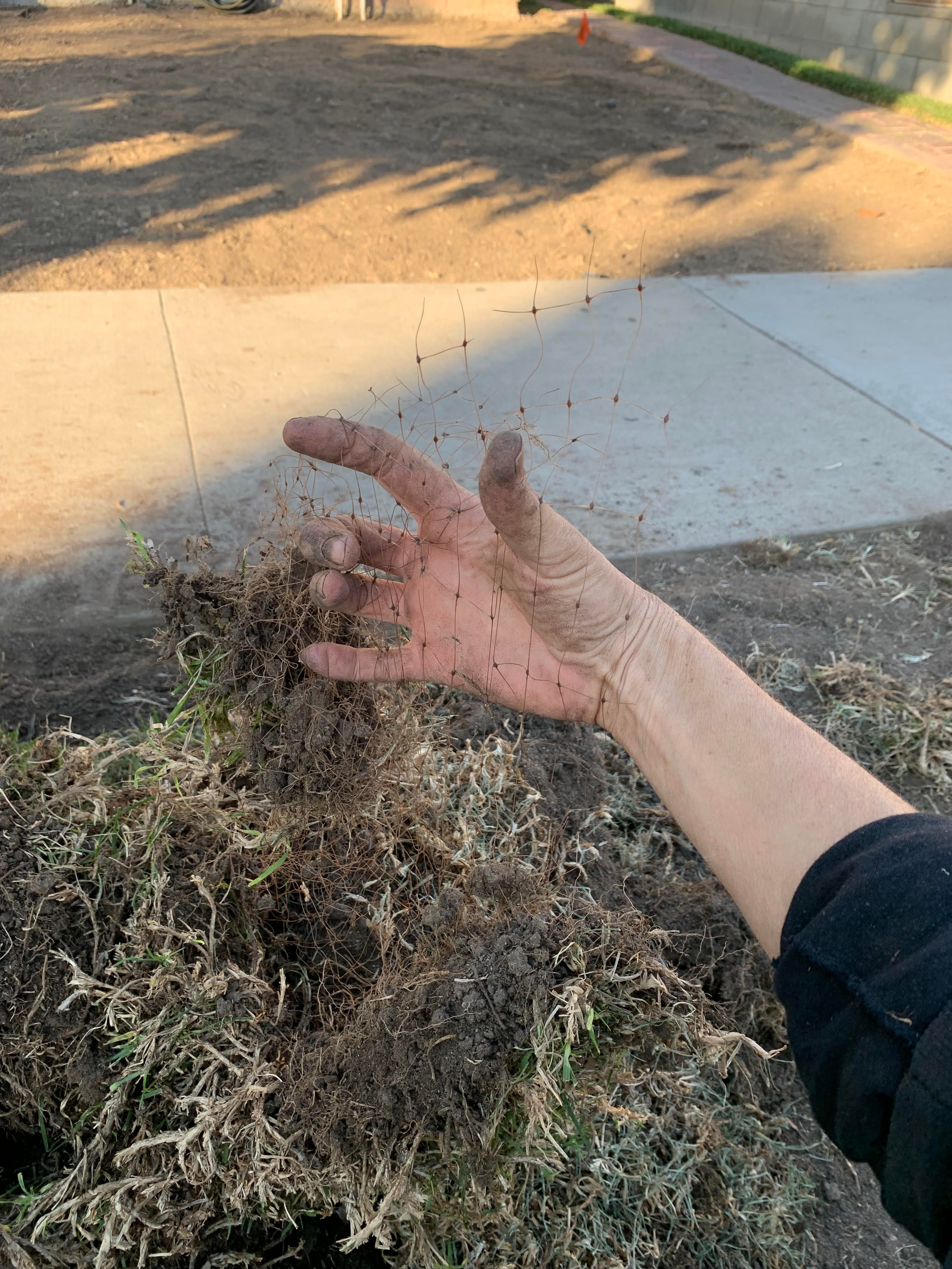 How to compost sod by cass marketos The Rot