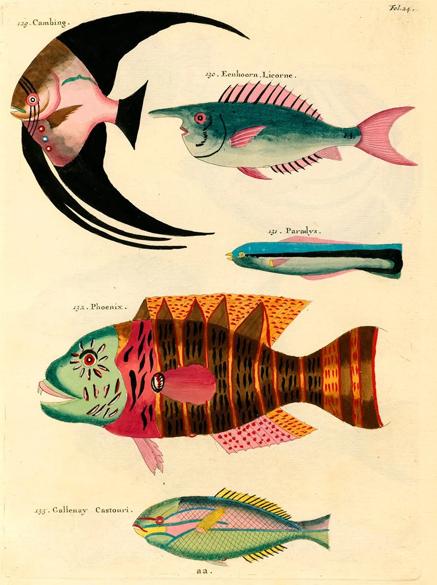 Carson tropical sales fish