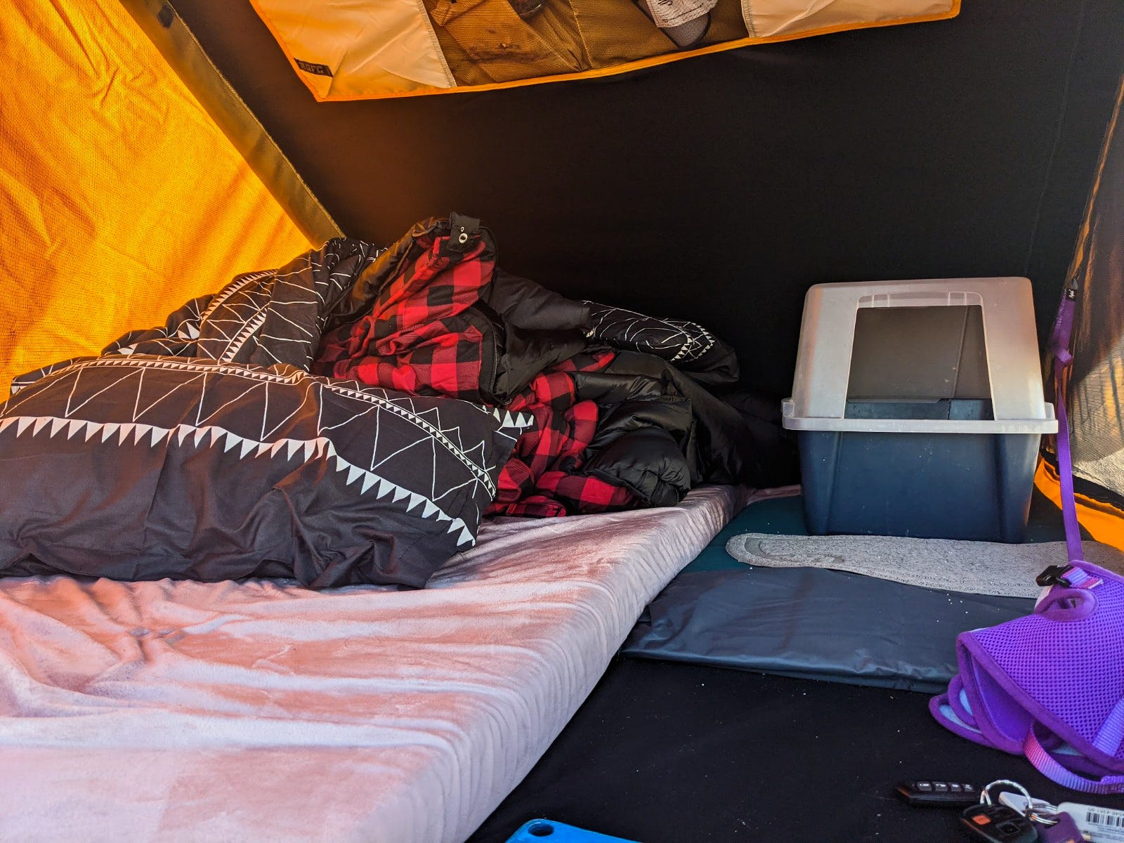 How To Tackle the Litter Box Stink