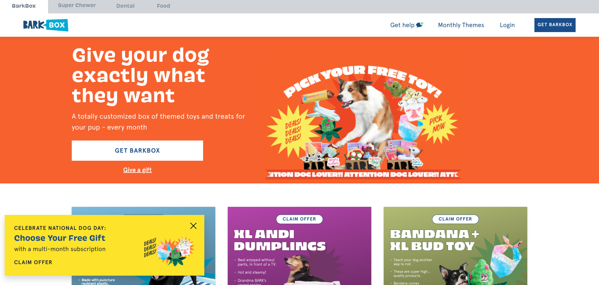 How To Start An Online Pet Store Your StepByStep Guide To Starting A