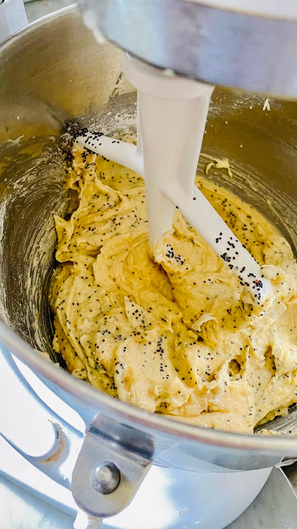 Seeing Memories & Migration in Ukrainian Poppy Seed Cake No. 94