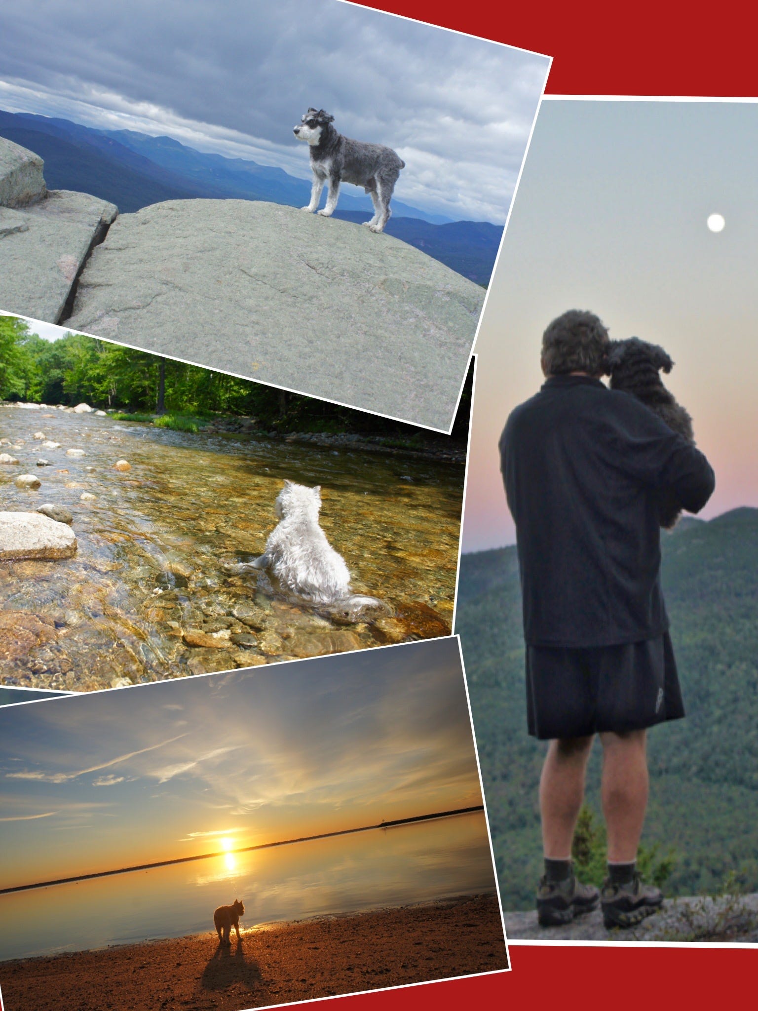 Atticus & Will 2022 Calendars Now Available