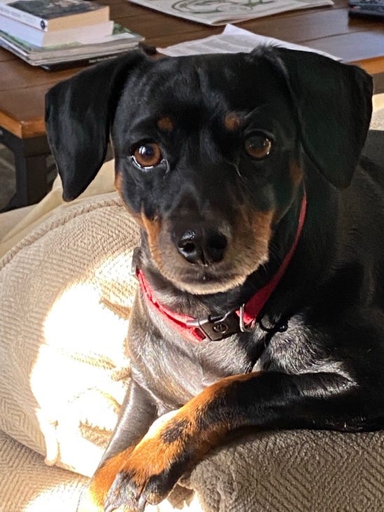 Tourance Luxurious Surroundings The Ultimate Throw Blanket