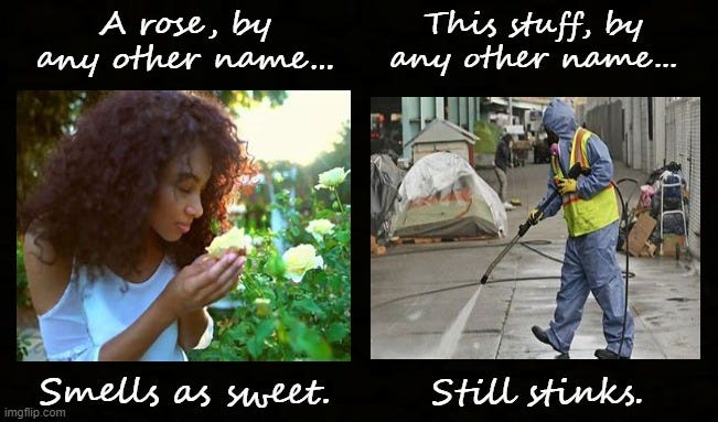 A Rose By Any Other Name Lightning Returns jack488.substack.com