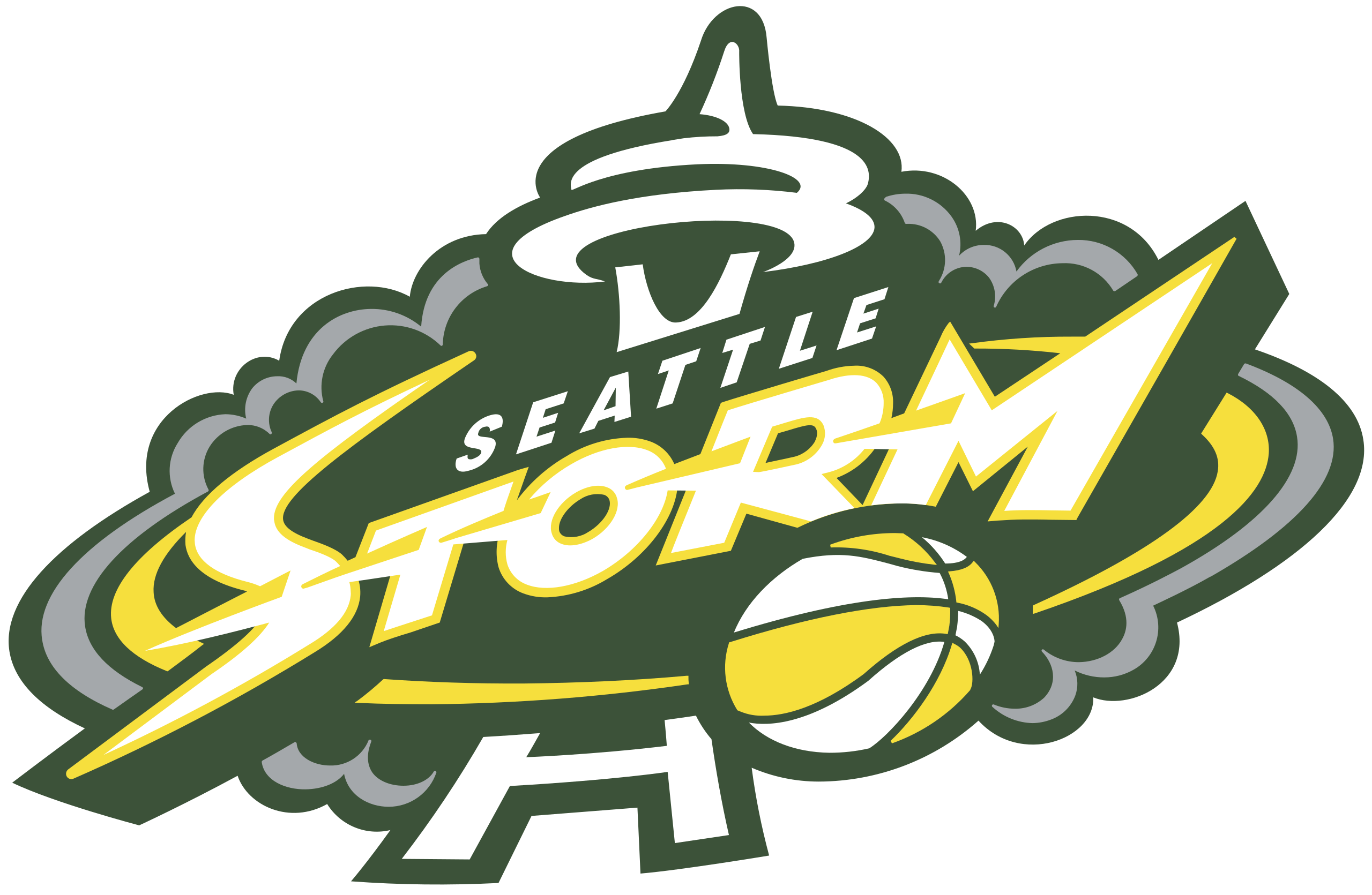 Seattle Storm rebrand with a new logo