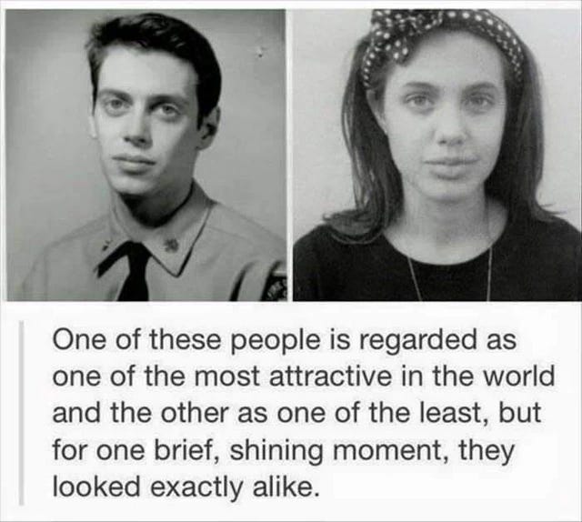 Steve Buscemi Is Hot. Grow Up. by Brianna Zigler