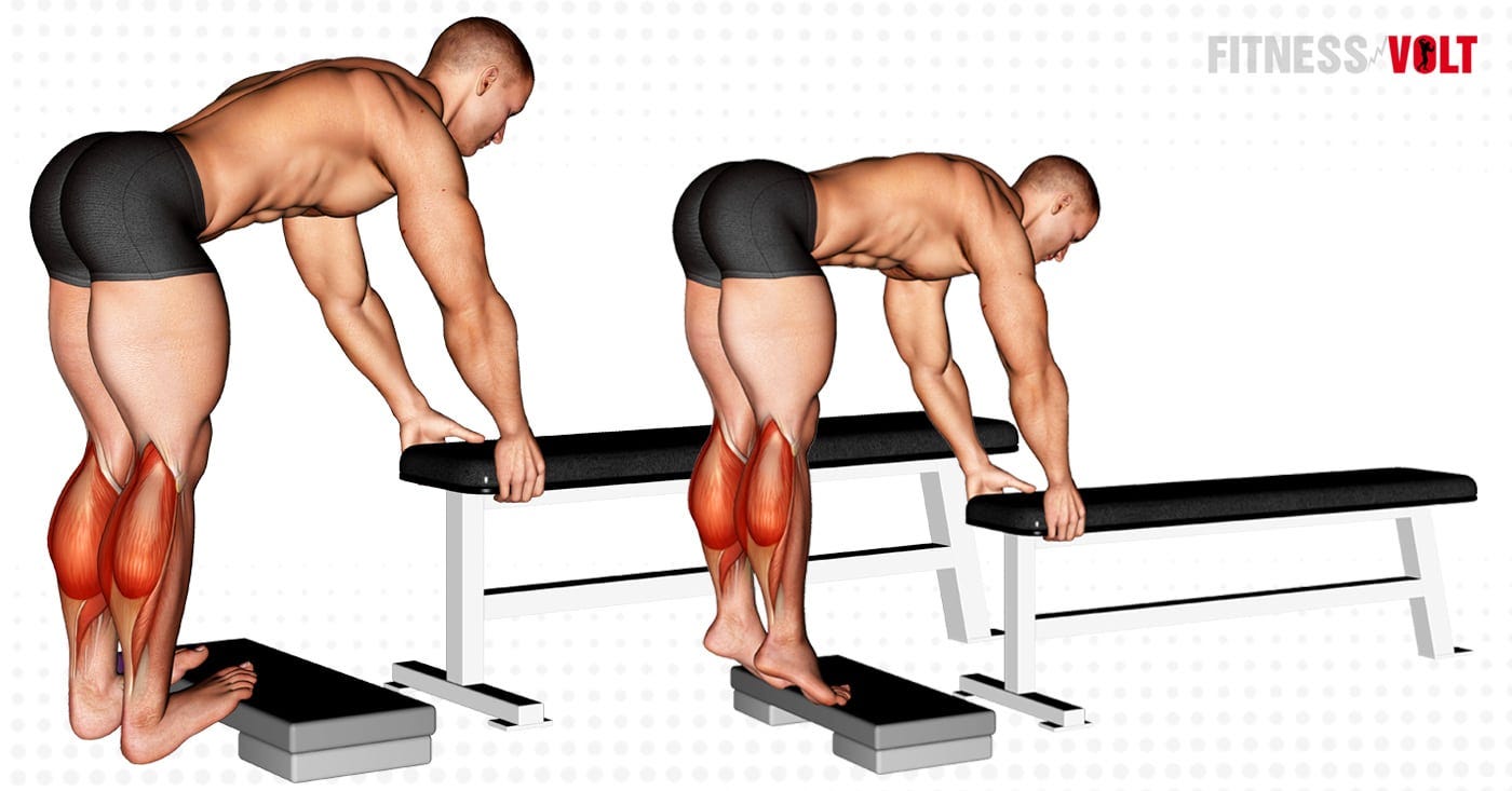 Your Guide To Calves and Ab Training by BowTiedOx