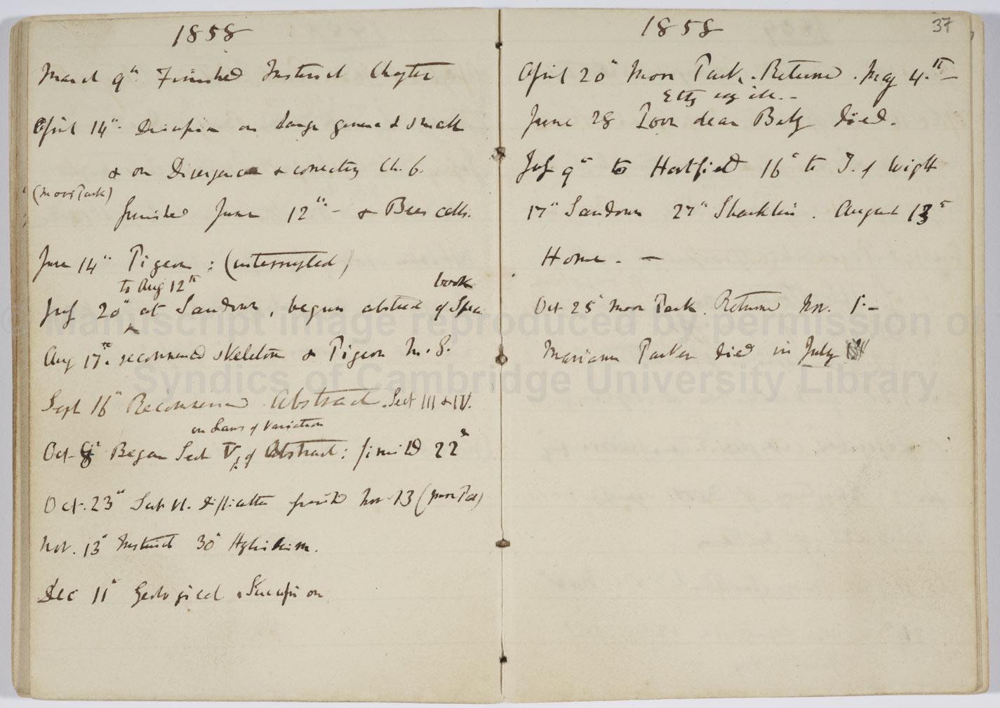 12 Ways To Use A Diary By Jillian Hess Noted 12-ways-to-use-a-diary-by-jillian-hess-noted