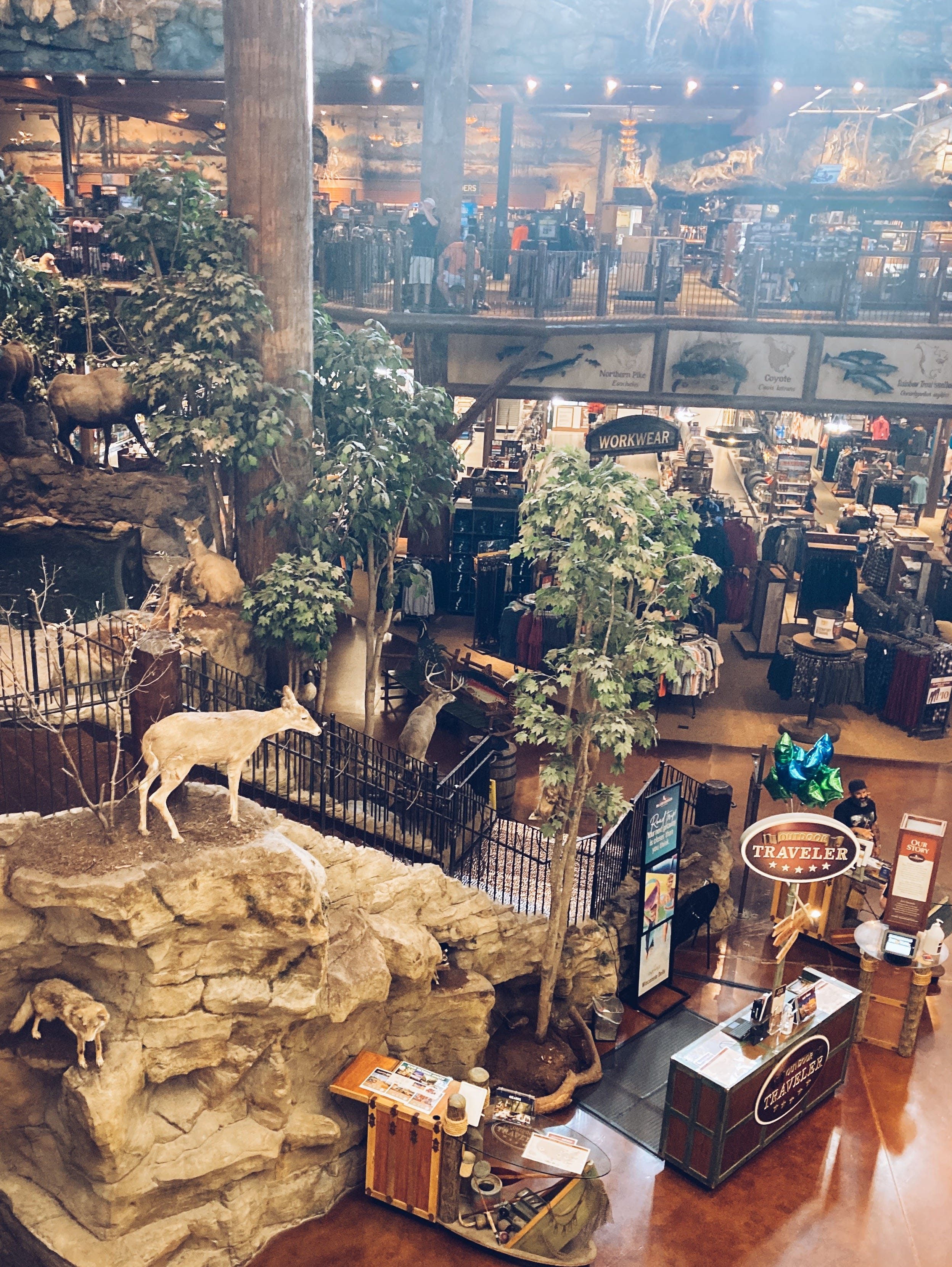 Bass pro lincoln shop logs