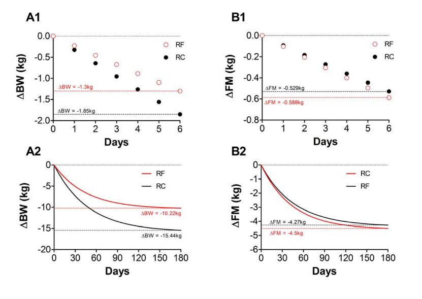 The Mass Balance Model Saga Continues by Dylan Klein