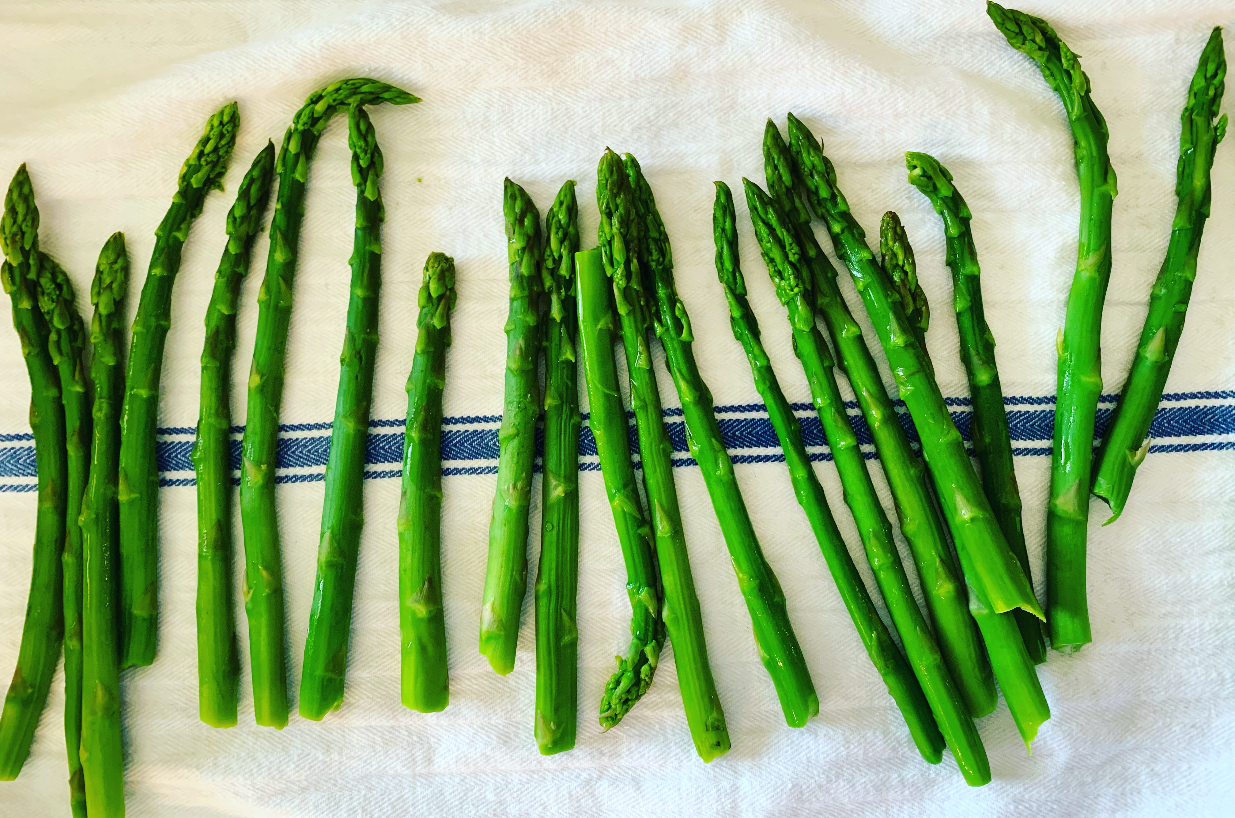 Spring has sprung the grass has riz by emily nunn
