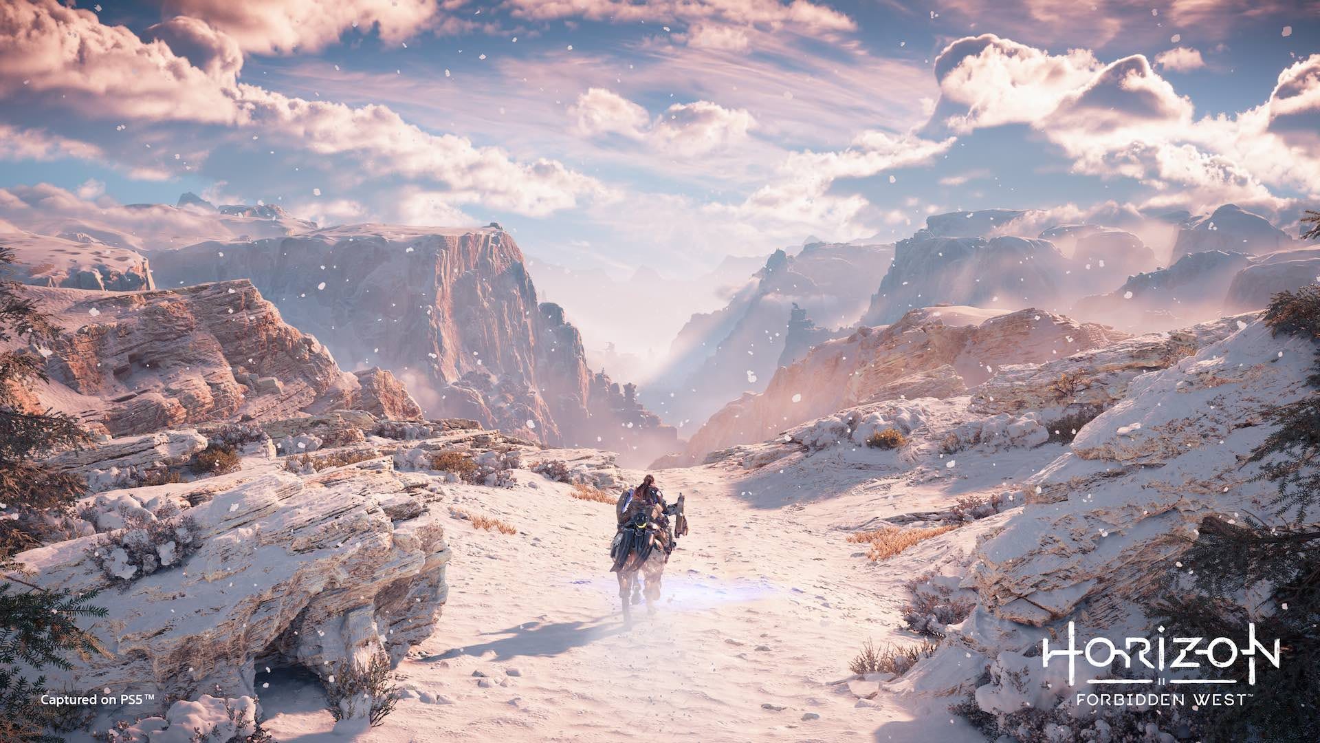 Horizon zero dawn ps4 price cheap in india