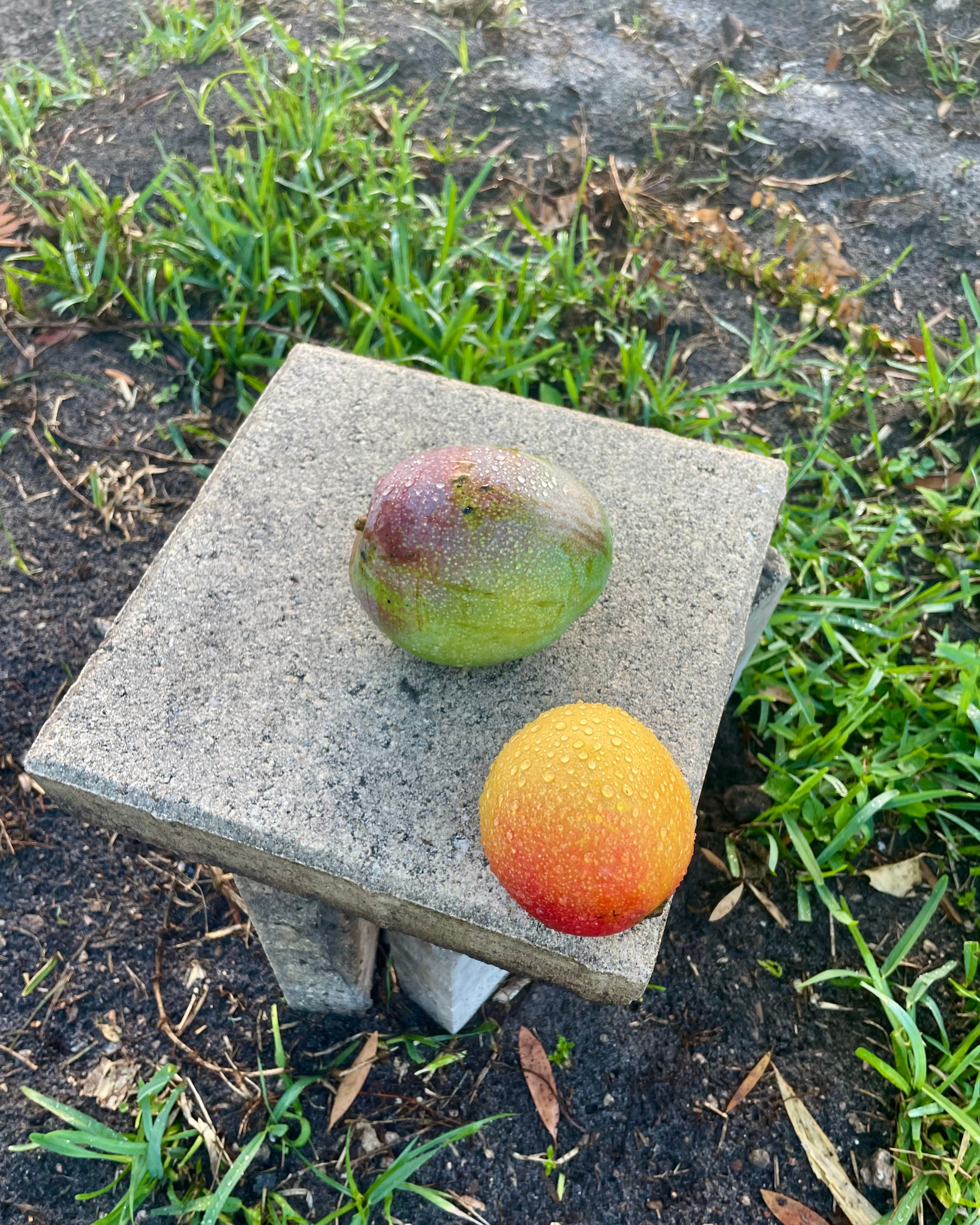 *11 big pick me energy by Leiah Garcia Not Failing