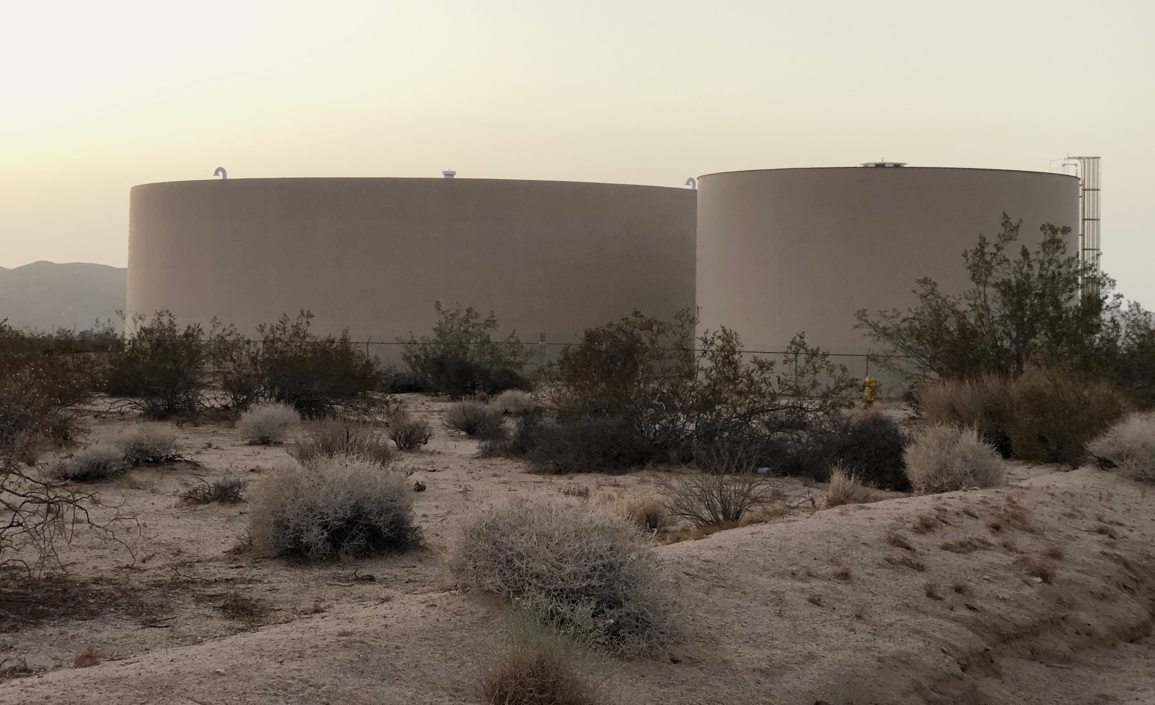 COUNCIL DISTRICT OF THE MONTH DISTRICT 1 by Natalie Zuk