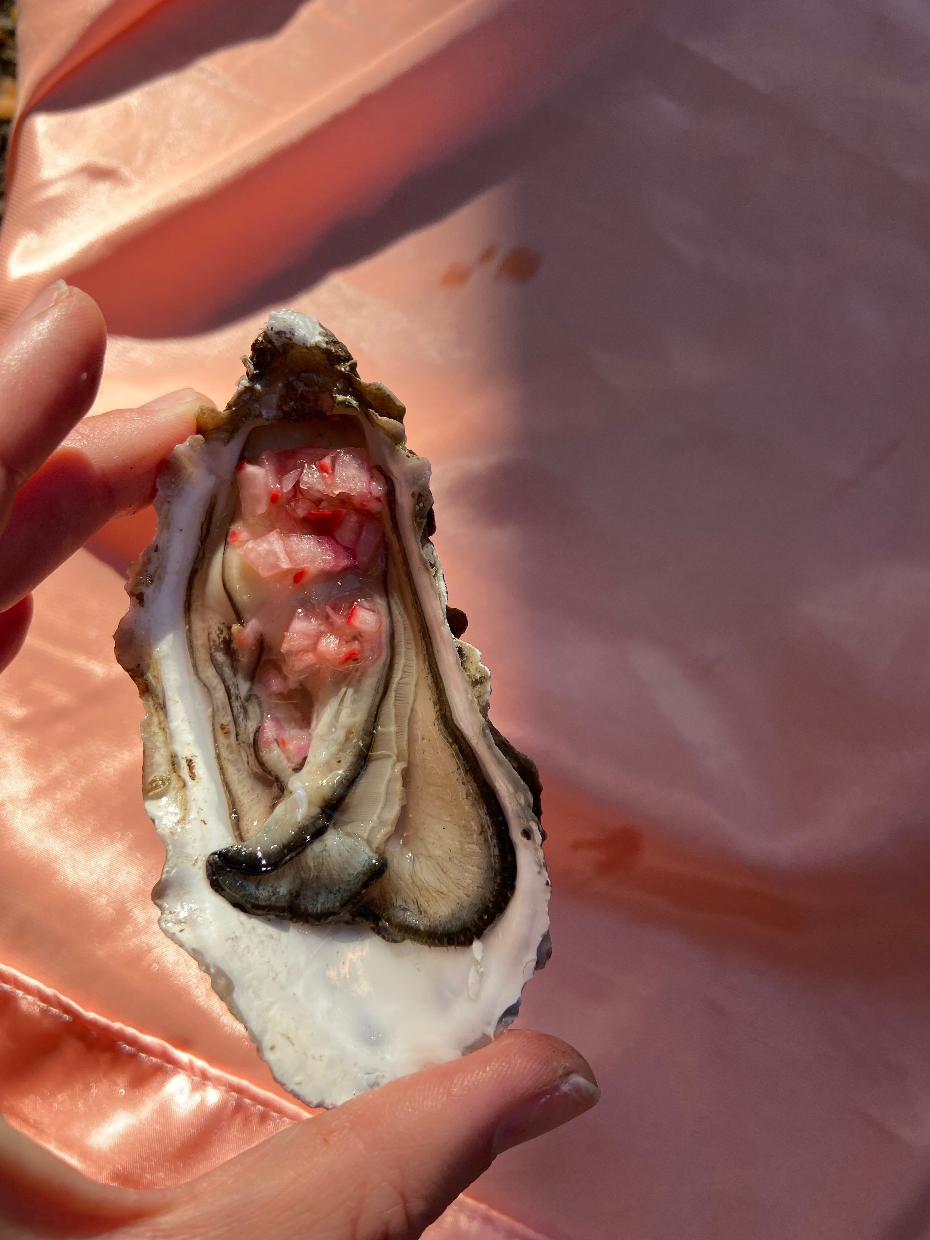 Consider the oyster by Emma Hodson Wet Appetites