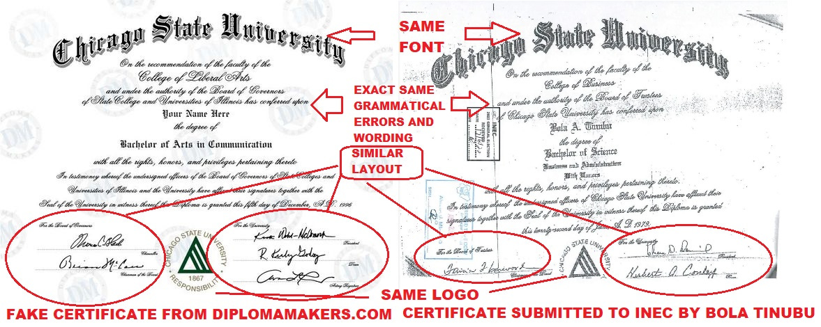Has Bola Ahmed Tinubu Committed Perjury? The Evidence Says Yes