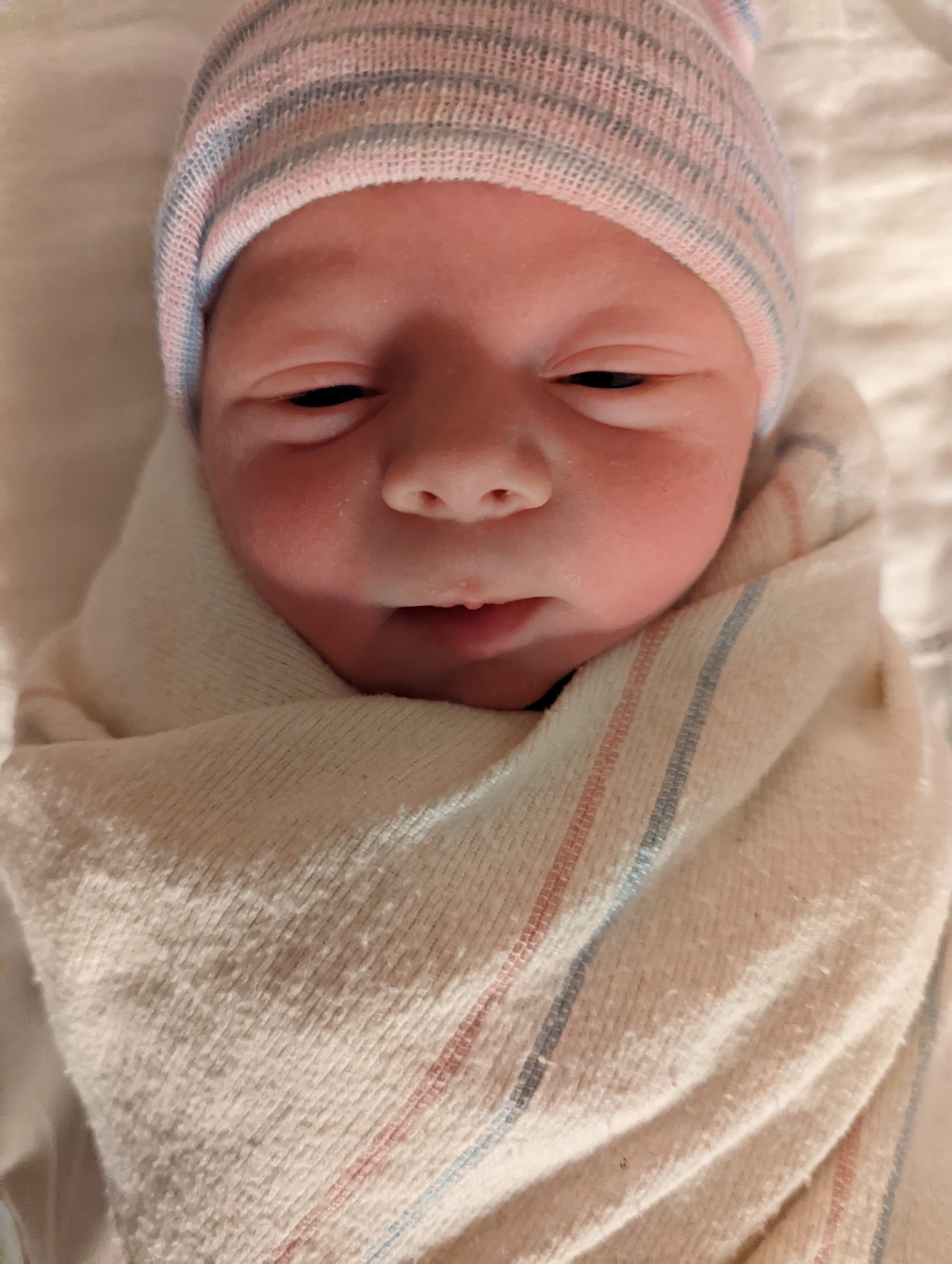 Tiger James Fallows by James Fallows