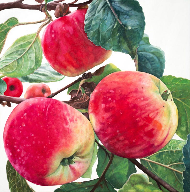 Apple, marjoram and ricotta cake with burnt honey glaze