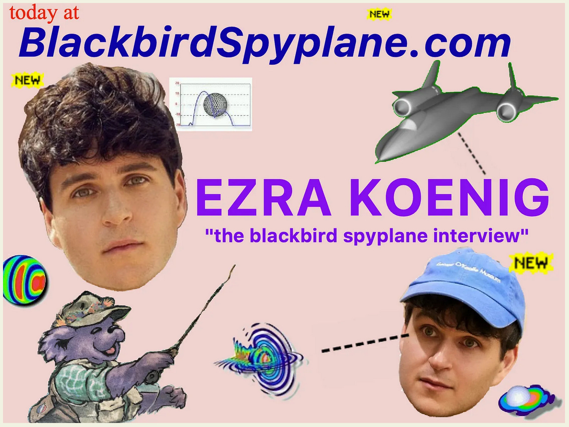 Vampire Weekend's Ezra Koenig tells us about one of his rarest