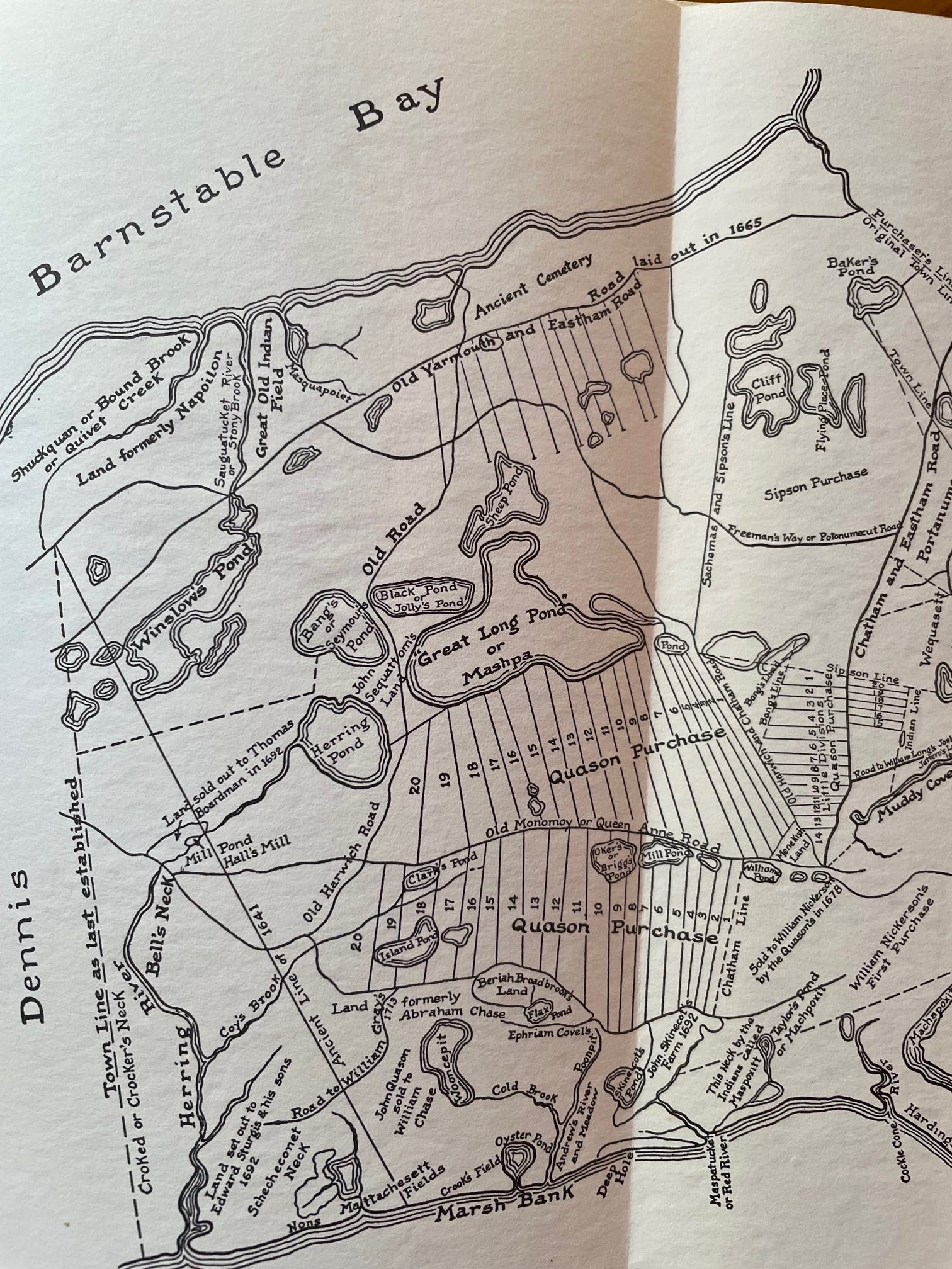 How skinny ‘woodlots’ became building lots