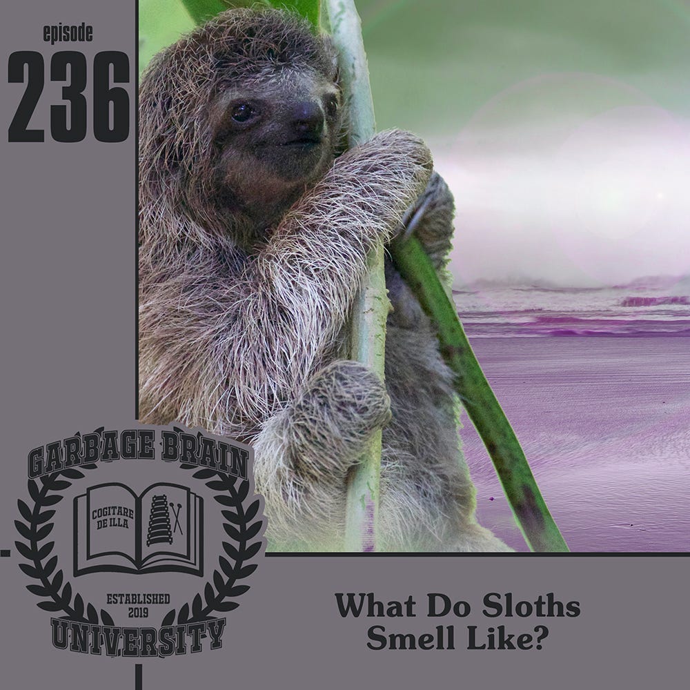 GBU 236: What Do Sloths Smell Like? - by Drew & Natalie Dee