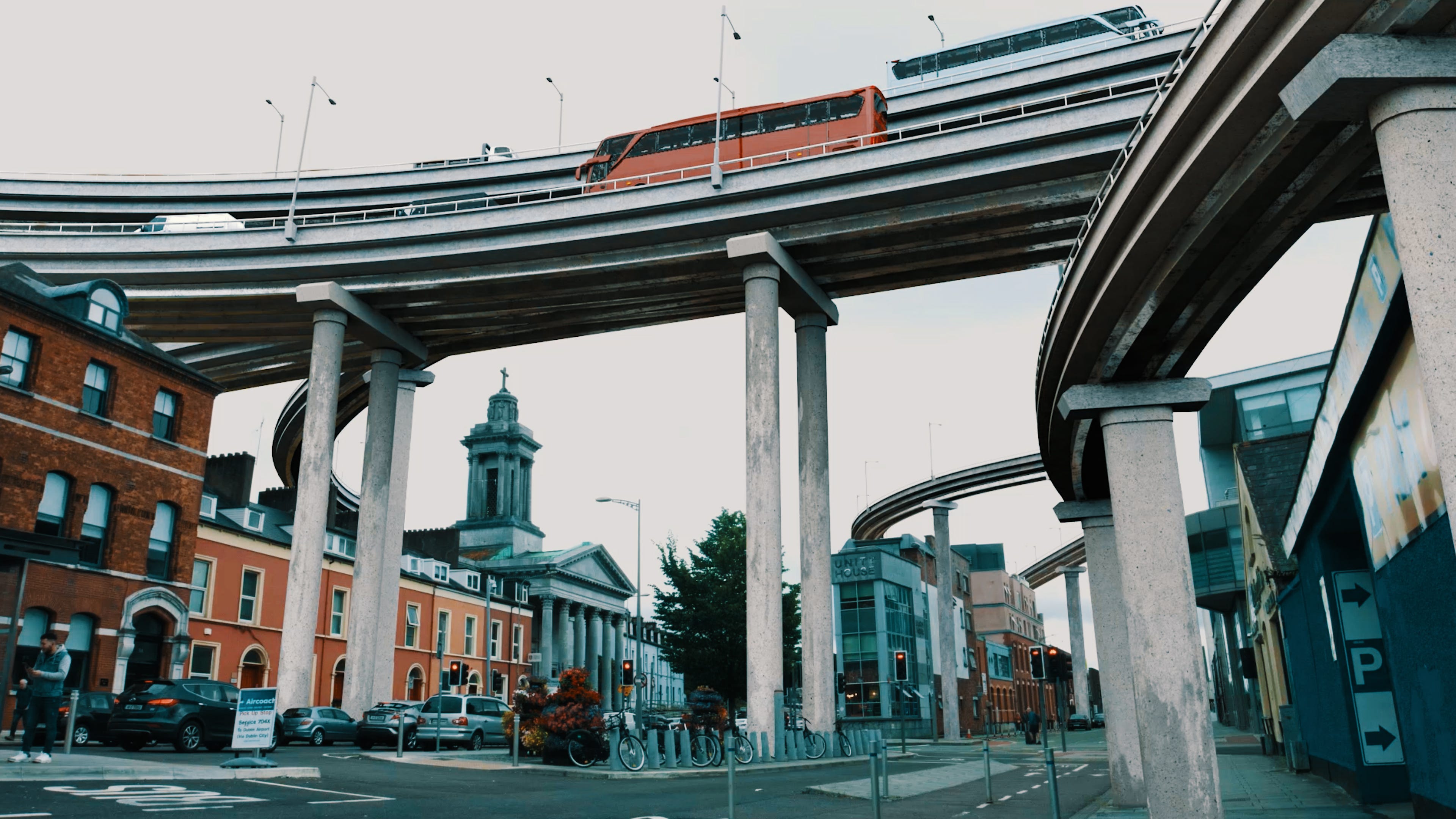 The octopus that nearly strangled Cork by Ellie O'Byrne