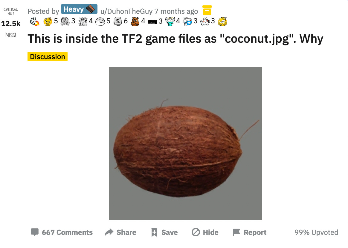 mystery of the coconut by Brian Feldman