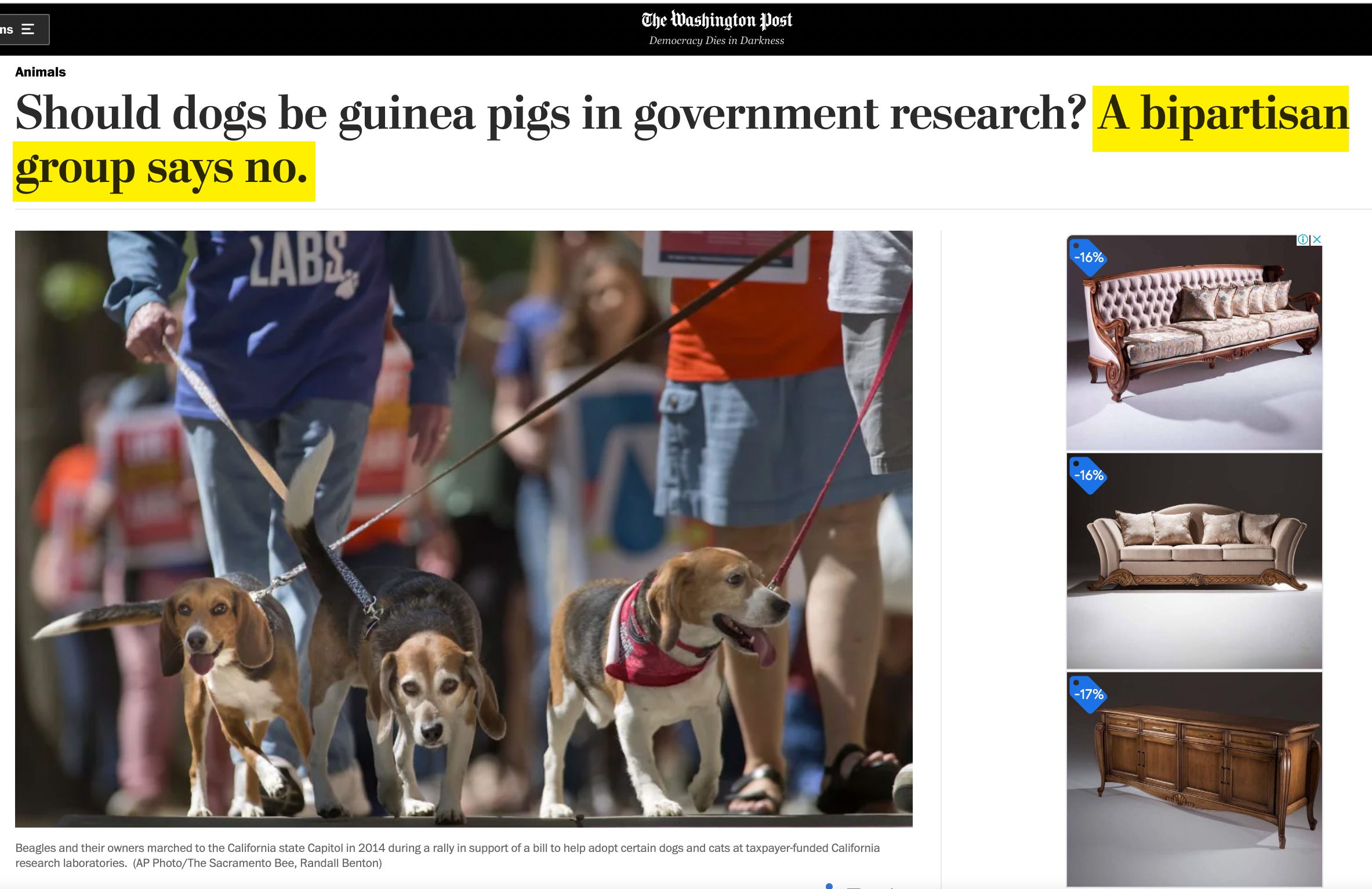 Beagle freedom project best sale snopes