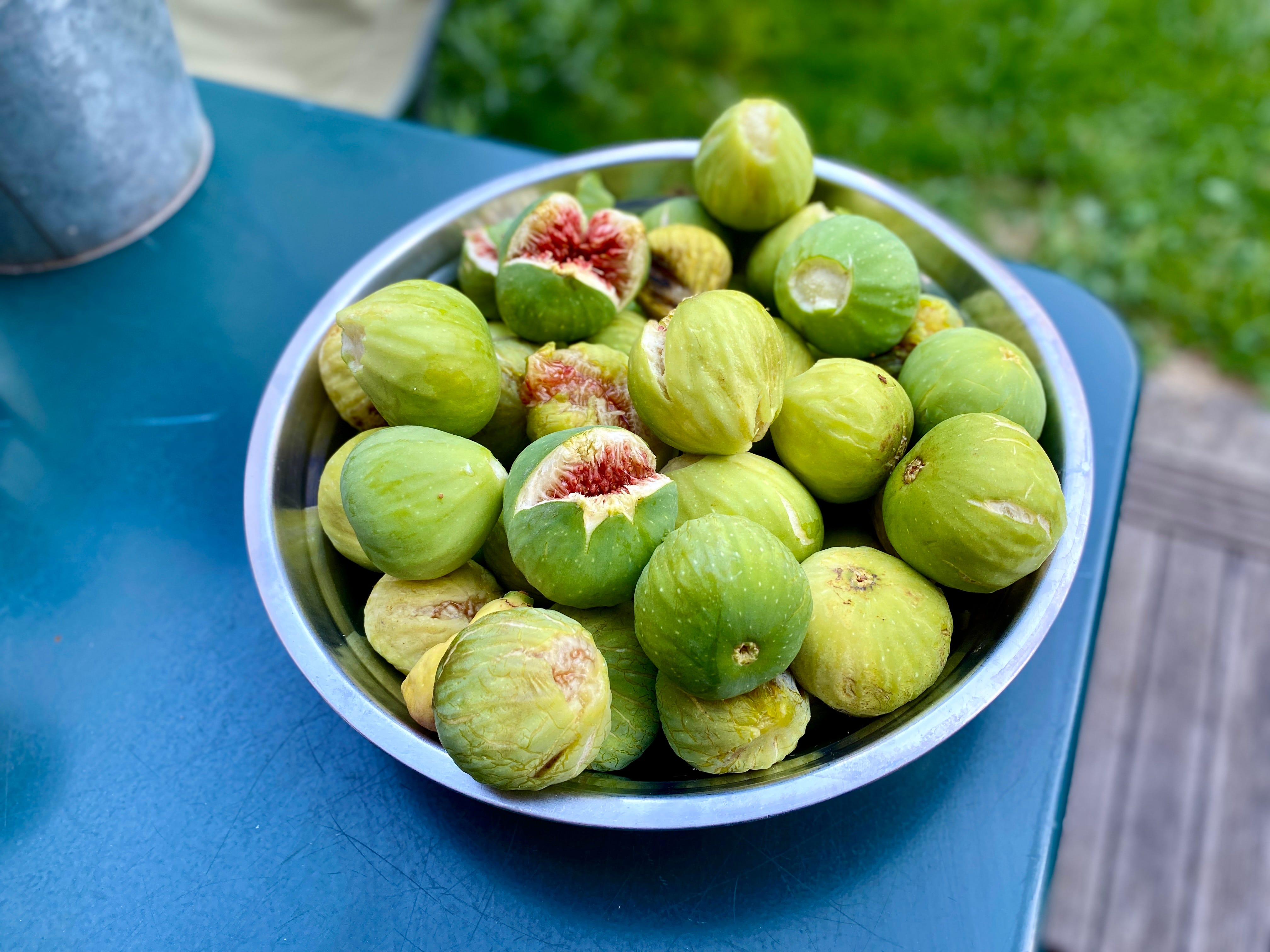 RumRaisin Ice Cream David Lebovitz Newsletter