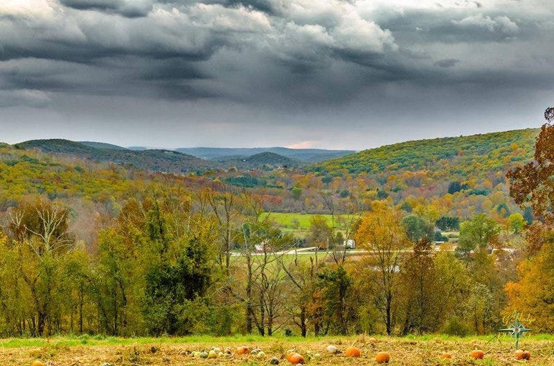 5 things I've learned from my summer of running