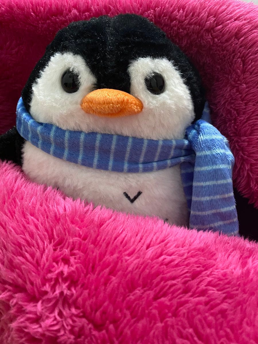 Penguin blanket asda discount