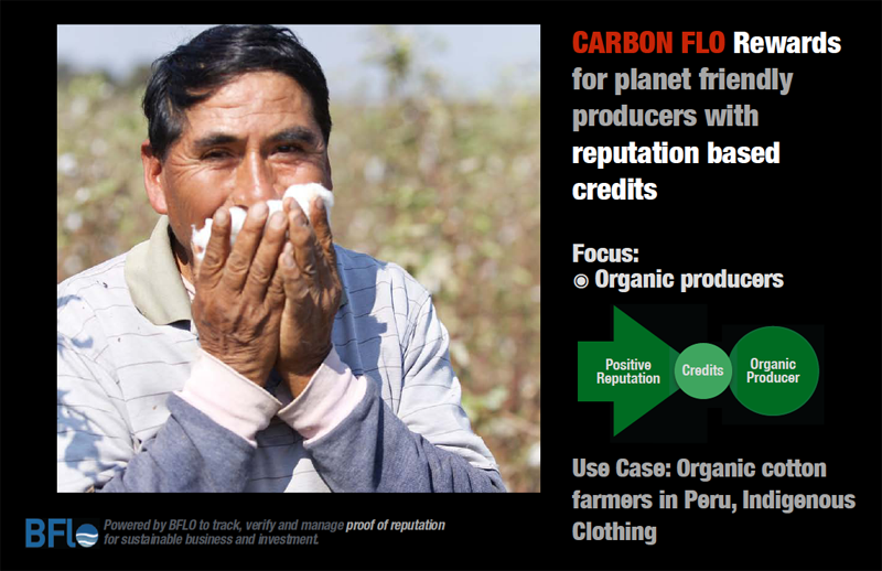 EMERGING FROM THE CHRYSALIS - by Amy Seidman