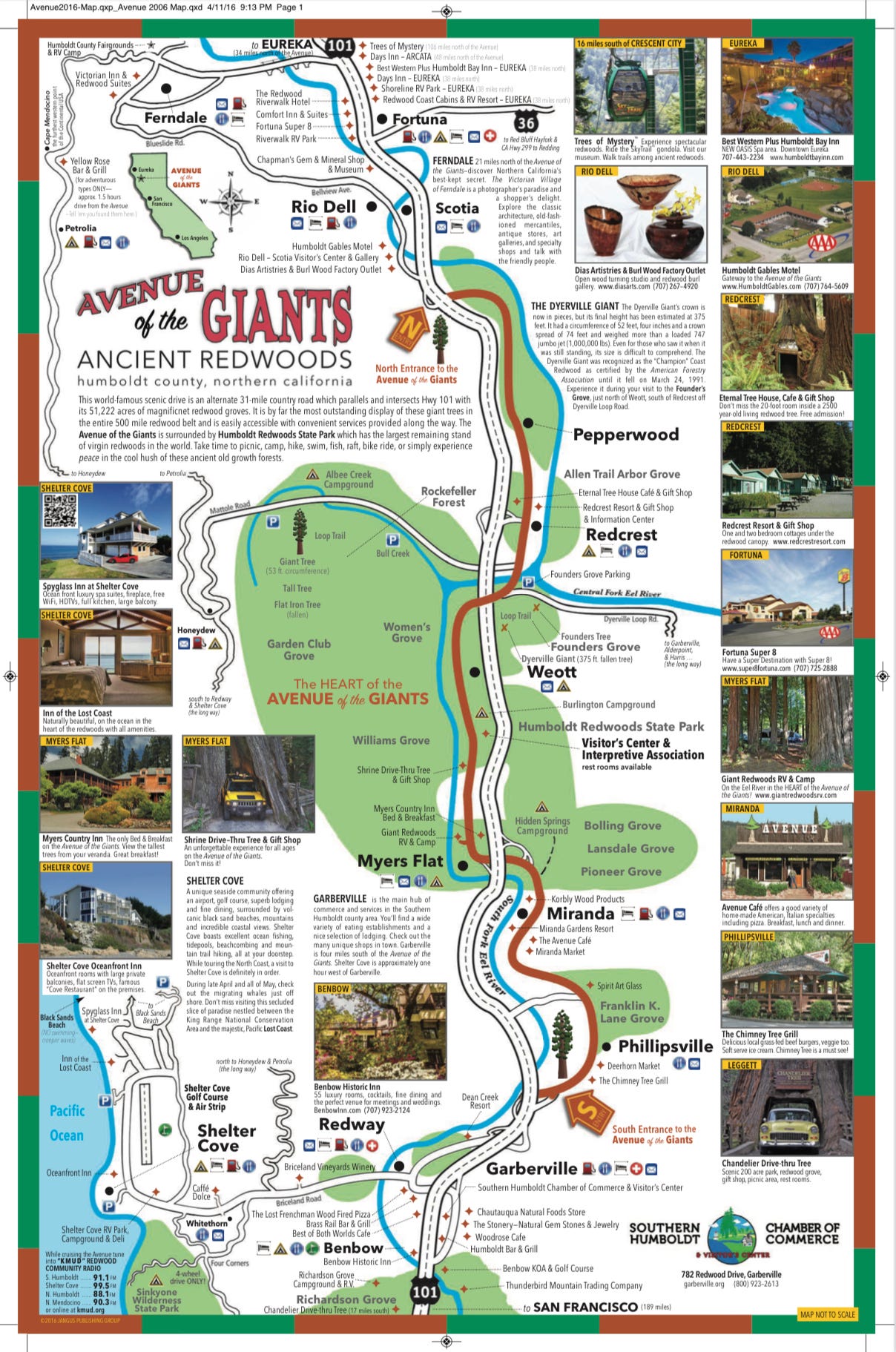 Avenue of the Giants - Tom Ryan, Author