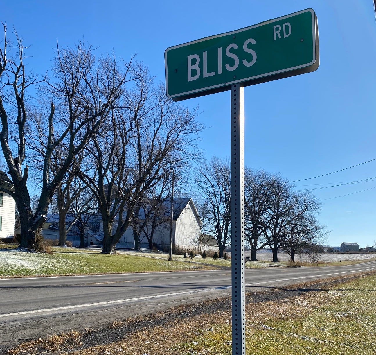 Bliss Road Laurie Riedman More Than Words