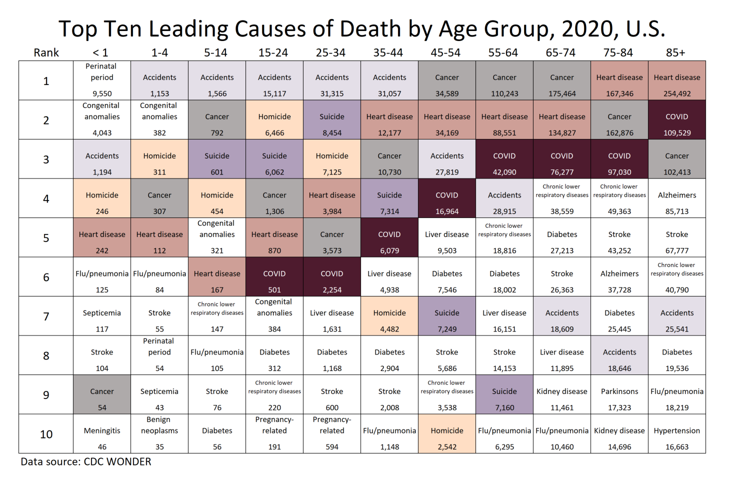 Top Causes of Death by Age Group, 2020 Raw Numbers