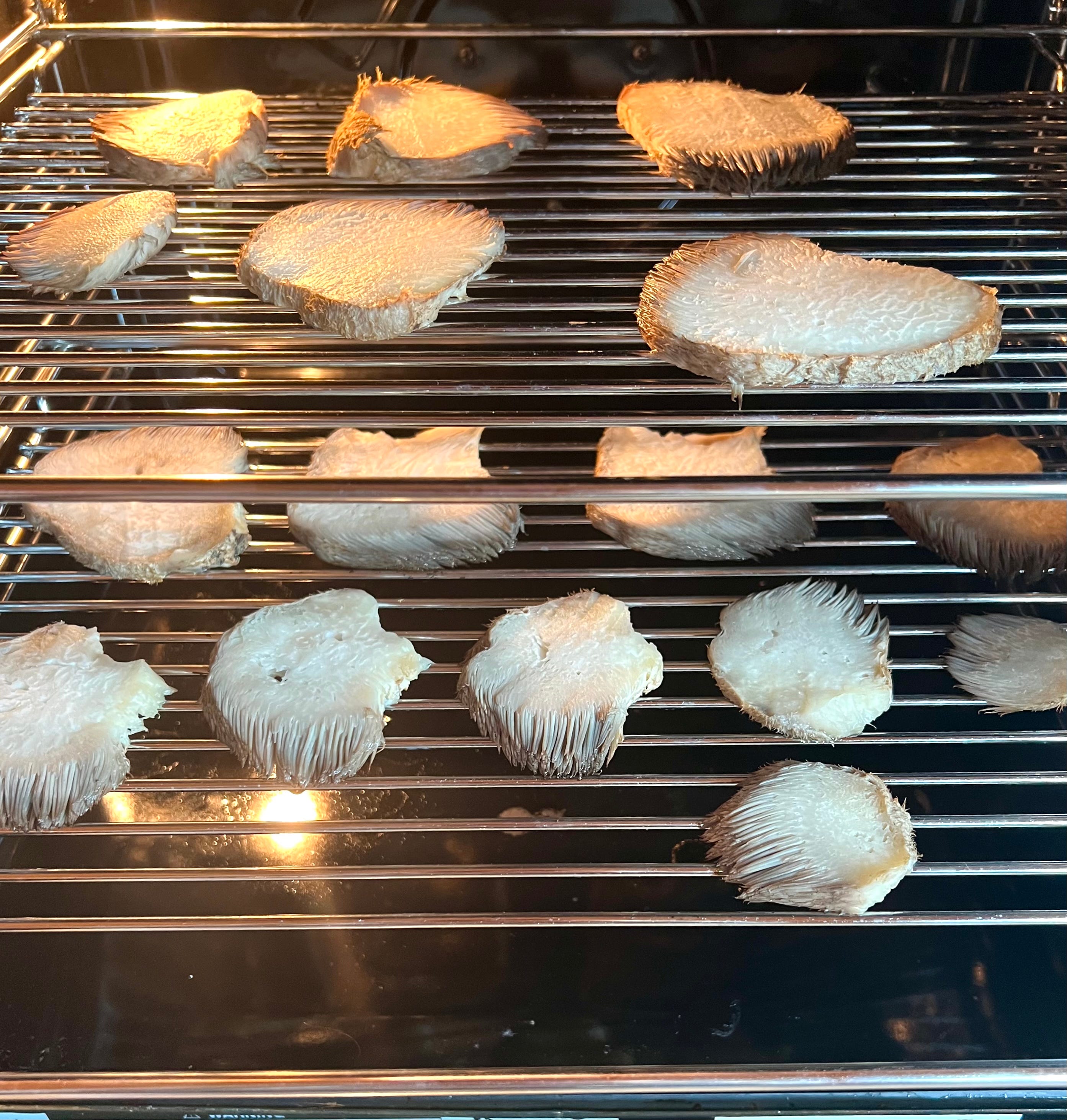 not in my kitchen by Tara Slowdown Farmstead