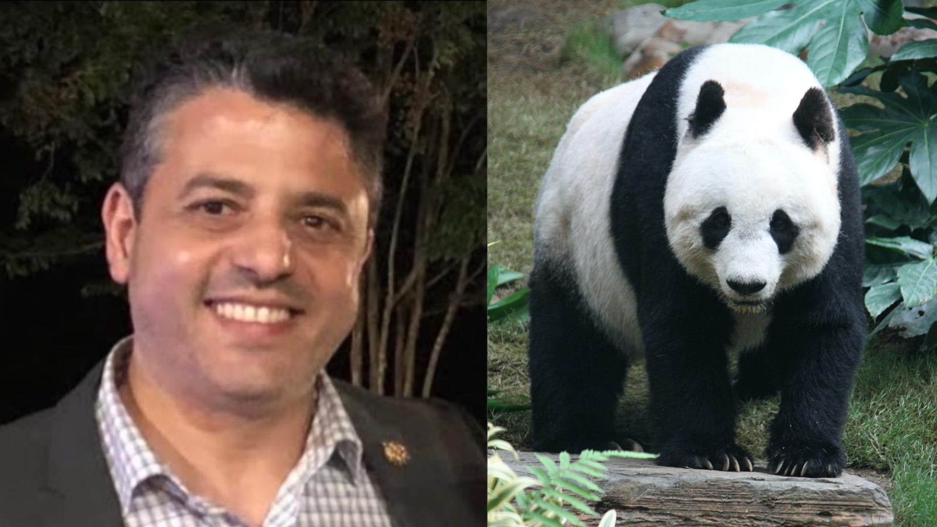 Saab Legislation Would Dilute Anne Arundel County Board of Education