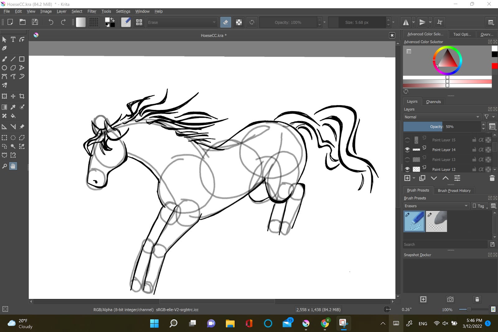 How To Draw Horse For Dummies
