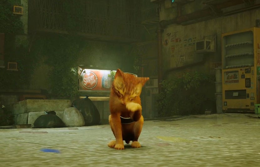 Cat video game deals ps4
